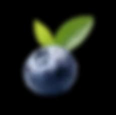 Blueberry