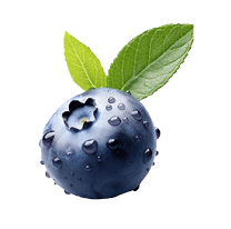 Blueberry