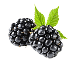 Blackberry