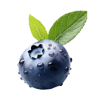 Blueberry