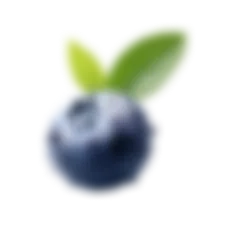 Blueberry