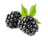 Blackberry